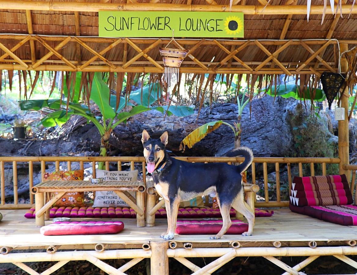 Sunflower Guesthouse And Animal Rescue - Koh Lipe Exteriör bild