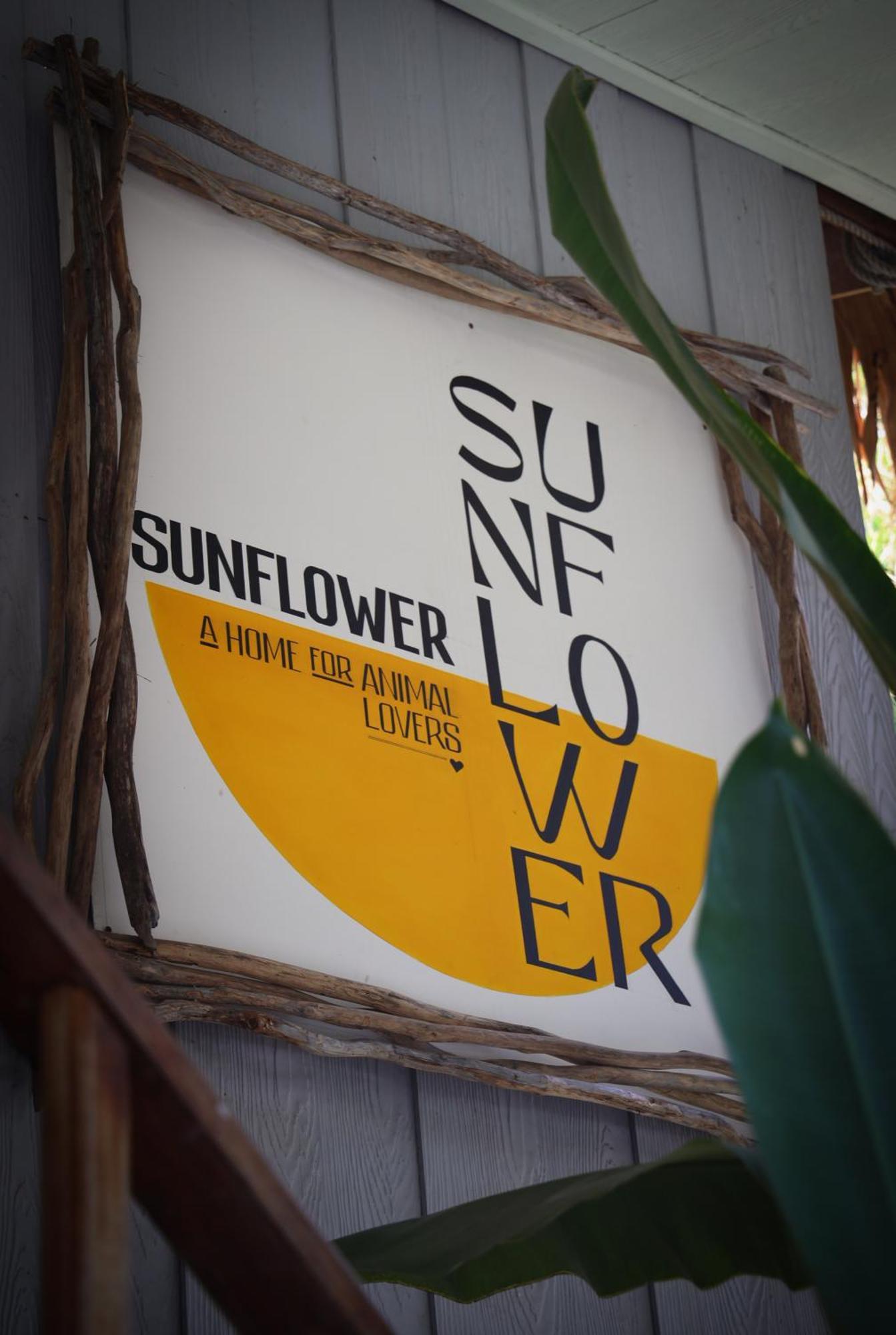 Sunflower Guesthouse And Animal Rescue - Koh Lipe Exteriör bild